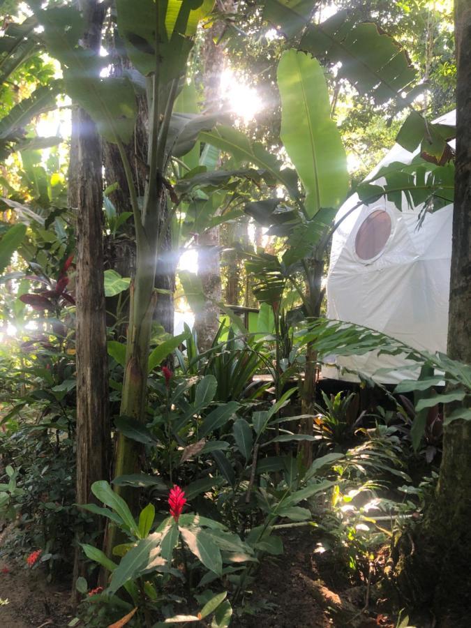 Отель Faith Glamping Dome Costa Rica Мансанильо Экстерьер фото