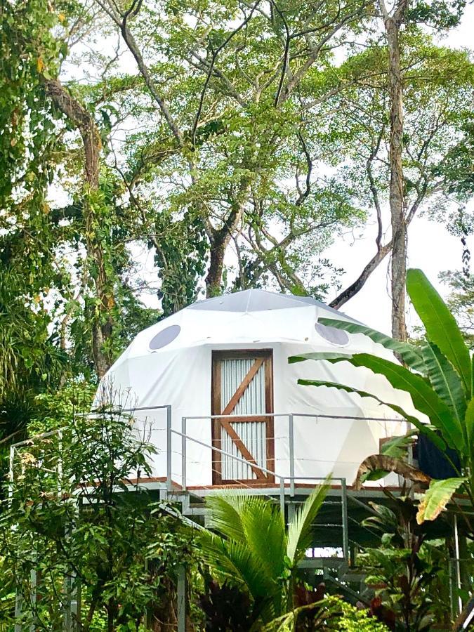 Bed and Breakfast Faith Glamping Dome Costa Rica Мансанильо Экстерьер фото