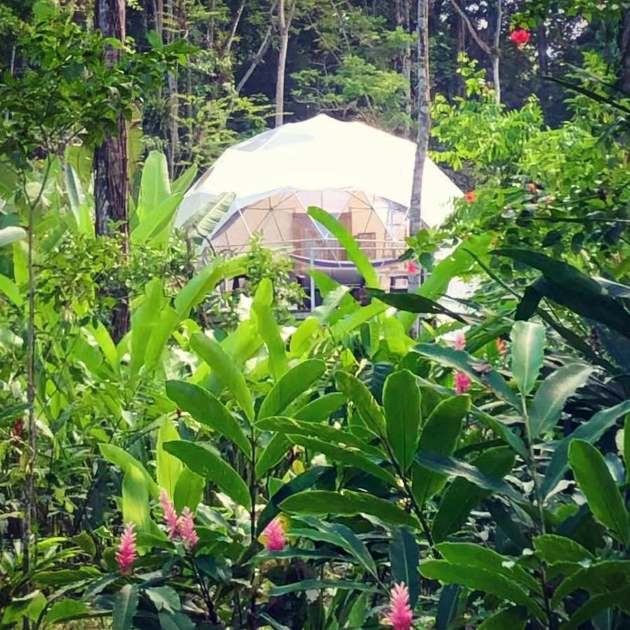 Отель Faith Glamping Dome Costa Rica Мансанильо Экстерьер фото