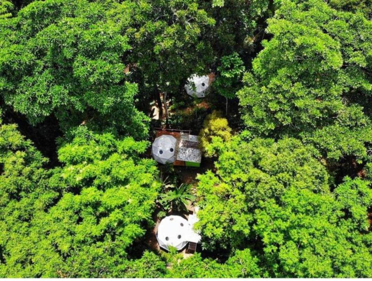 Отель Faith Glamping Dome Costa Rica Мансанильо Экстерьер фото