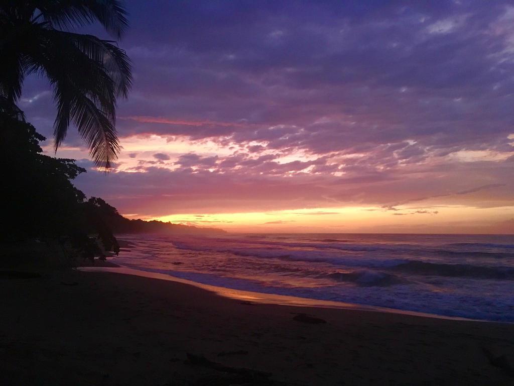 Bed and Breakfast Faith Glamping Dome Costa Rica Мансанильо Экстерьер фото