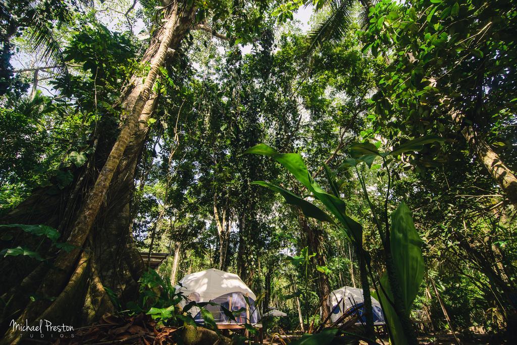 Bed and Breakfast Faith Glamping Dome Costa Rica Мансанильо Экстерьер фото